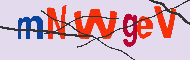 Captcha-koodi