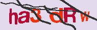 Captcha-koodi