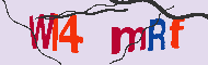 Captcha-koodi